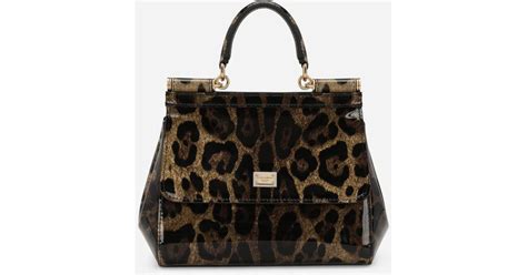 dolce gabbana gürtel damen leopard|Gürtel aus glänzendem Kalbsleder mit Leopardenmuster .